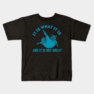 It Is What It Is And It Is Not Great Kids T-Shirt